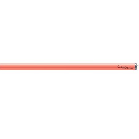 Cosmedico COLYOUR RED R 55 tubi UVA 160 W per solarium professionali