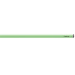 Cosmofit+ COLYOUR GREEN R 33 tubi UVA 160 W per solarium Cosmedico