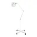 Lámpara Lupa LED 5 Dioptrías 8W Weelko para Estética -Weelko -Lámparas y Lupas