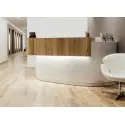 Recepção Oval Solid Surface Design para Clínicas - -Mobiliário design